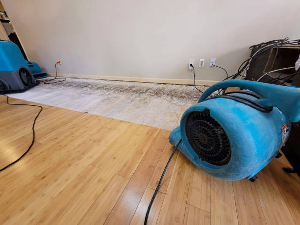 Professional Flood Damage Cleanup technician working in Shoreham, NY